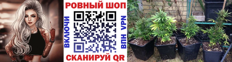 Амфетамин Новодвинск