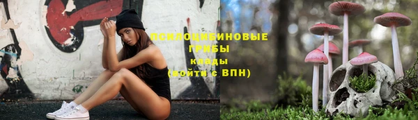 соль курить ск Михайловка