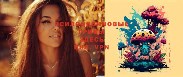 соль курить ск Михайловка