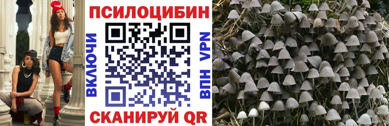 Псилоцибиновые грибы мухоморы  как найти закладки  Новодвинск 