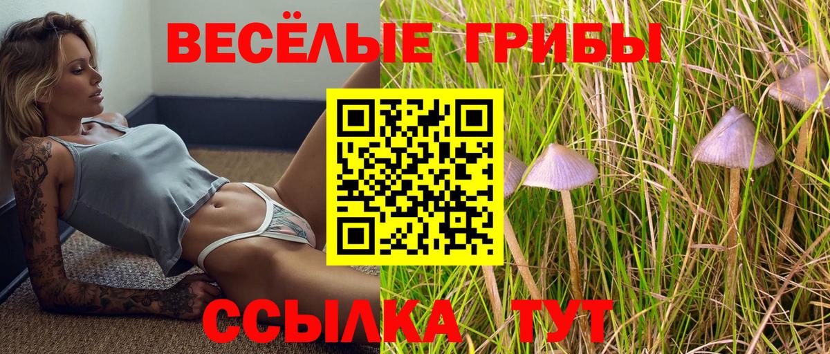 Псилоцибиновые грибы GOLDEN TEACHER Новодвинск