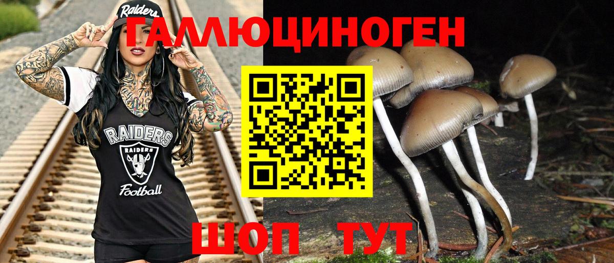 Псилоцибиновые грибы Psilocybe  Галлюциногенные грибы мухоморы  Вход с VPN  Новодвинск 