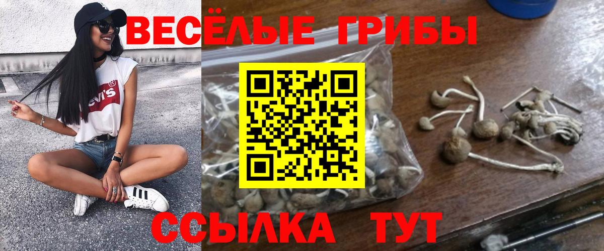 Галлюциногенные грибы GOLDEN TEACHER  Новодвинск 
