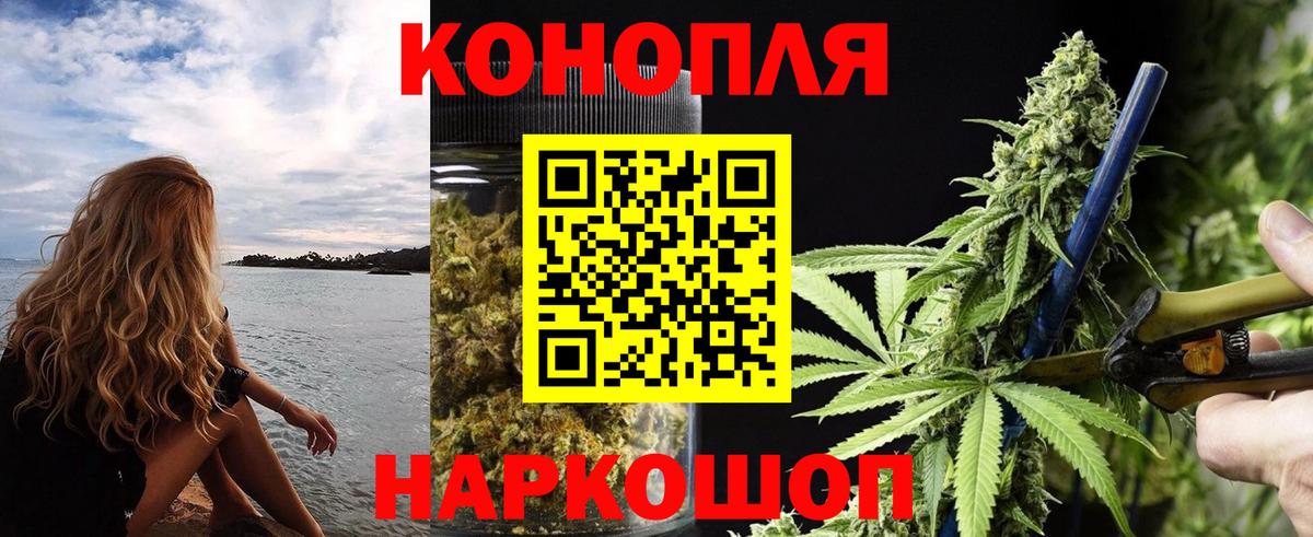Каннабис Bruce Banner  Новодвинск  Бошки марихуана план  Канабис SATIVA & INDICA  Шишки марихуана THC 21% 